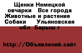 Щенки Немецкой овчарки - Все города Животные и растения » Собаки   . Ульяновская обл.,Барыш г.